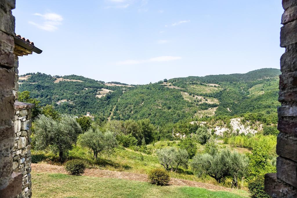 Agriturismo Montelovesco Brunetta الغرفة الصورة