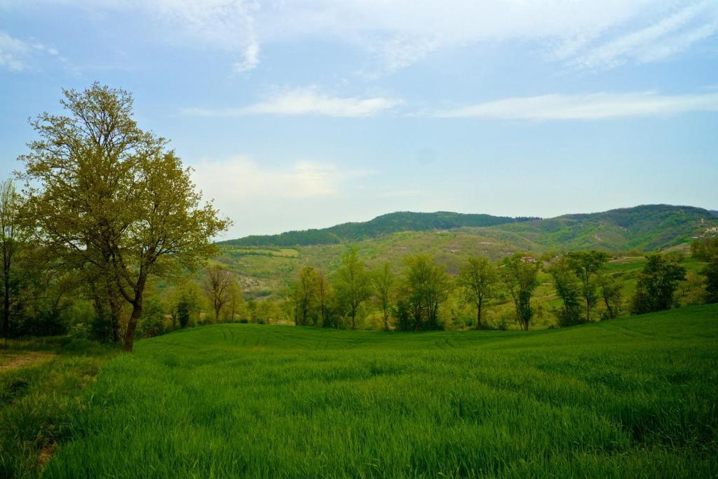 Agriturismo Montelovesco Brunetta المظهر الخارجي الصورة