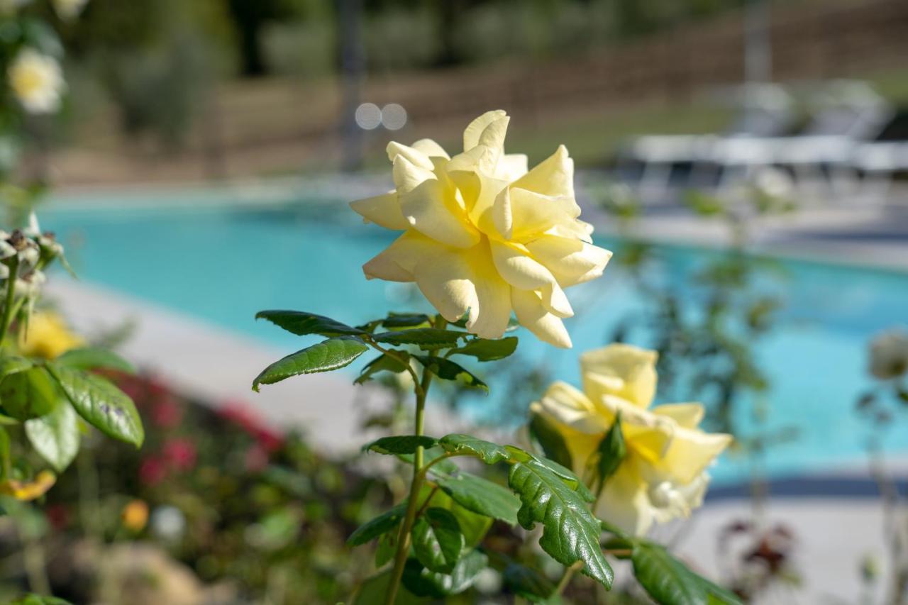 Agriturismo Montelovesco Brunetta المظهر الخارجي الصورة