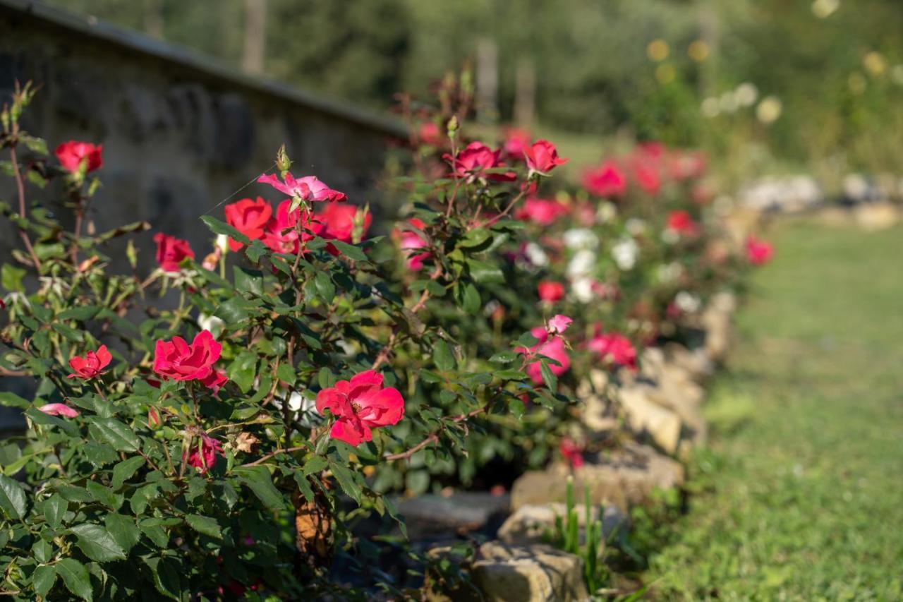 Agriturismo Montelovesco Brunetta المظهر الخارجي الصورة
